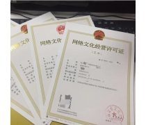 網(wǎng)絡文化經(jīng)營中的產(chǎn)品庫構(gòu)建與管理